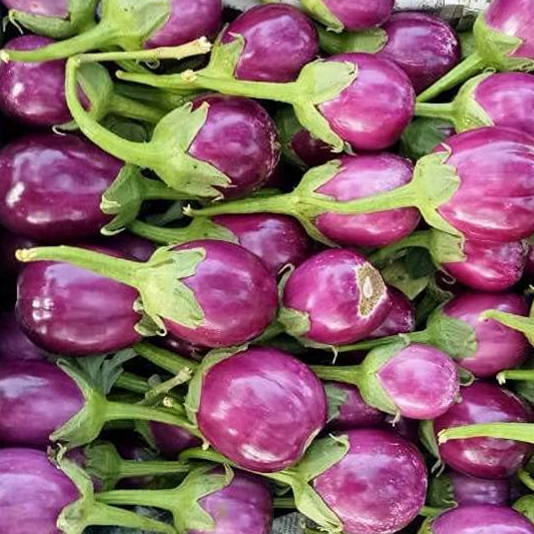 Brinjal Surati - बैंगन रवैया - 250gm
