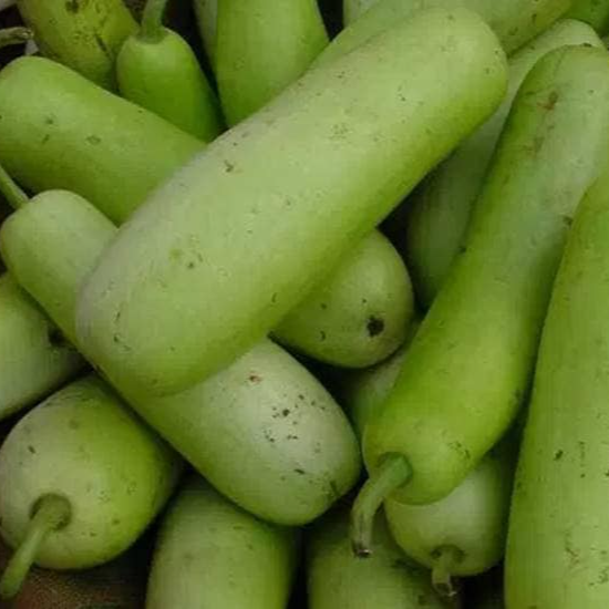 Bottle gourd - लौकी - 500gm