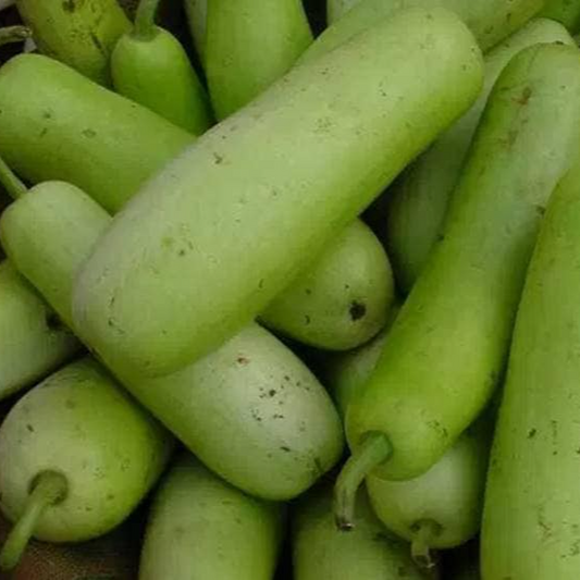Bottle gourd - लौकी - 500gm