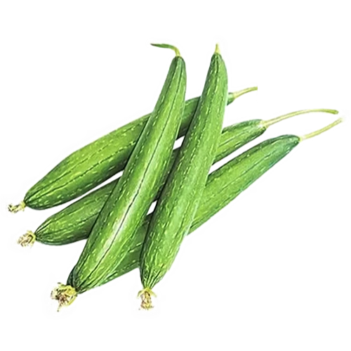 Sponge Gourd- गलका - 250gm