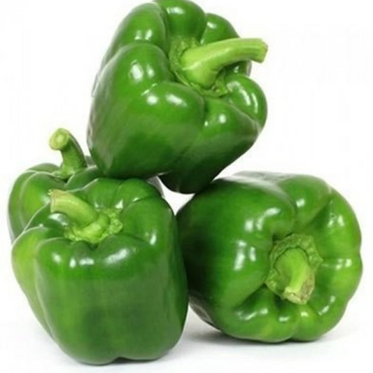 Capsicum - शिमला मिर्च - 500gm