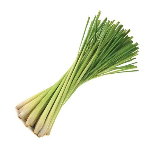 Lemongrass - लेमनग्रास - 100gm