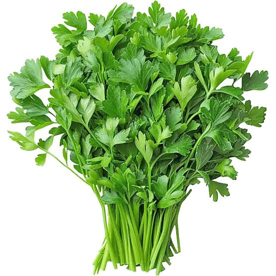 Coriander - धनिया - 100gm