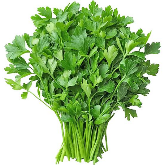 Coriander - धनिया - 100gm